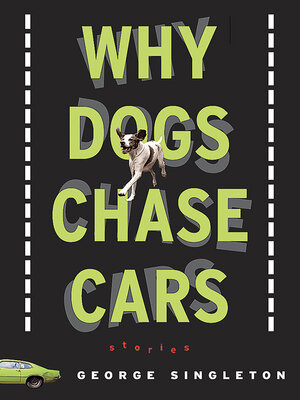 cover image of Why Dogs Chase Cars